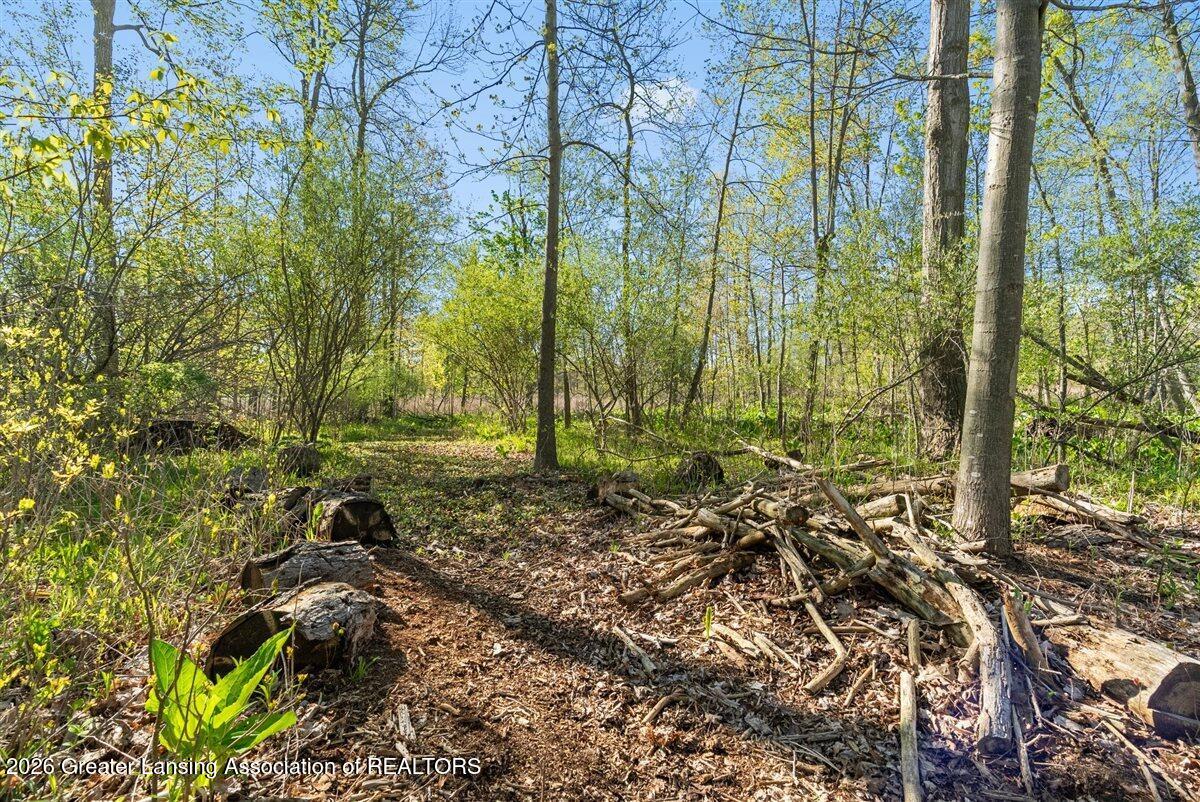 0 Bath Road Perry, MI 48872 - Photo 12 of 34 12-Media Jett - 12
