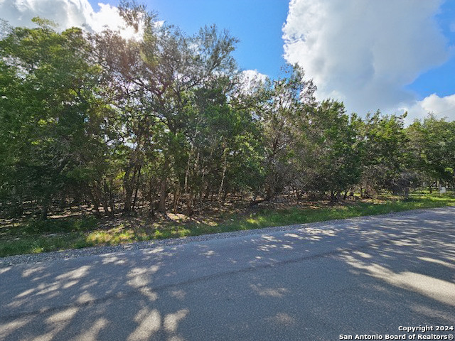 1491 Deep Water Drive Spring Branch, TX 78070 - Photo 2 of 4