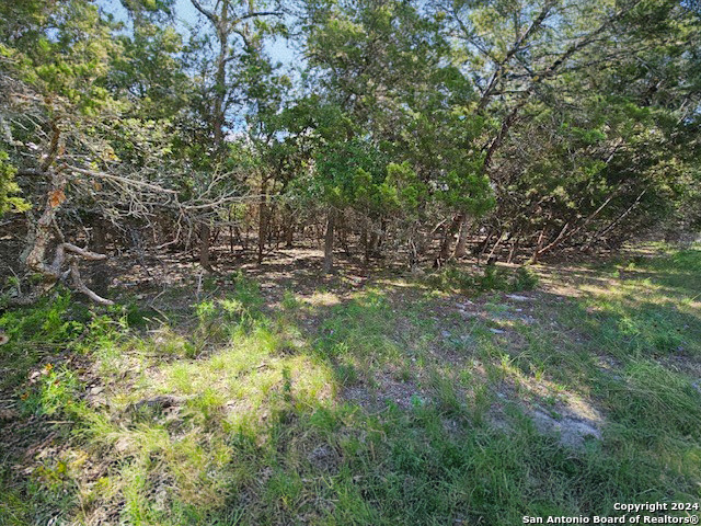 1491 Deep Water Drive Spring Branch, TX 78070 - Photo 3 of 4