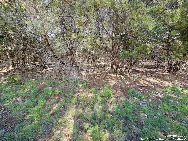 1491 Deep Water Drive Spring Branch, TX 78070 - Photo 4 of 4