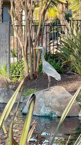 $618,000 | 1040 Copper Park Lane, Modesto, CA 95355