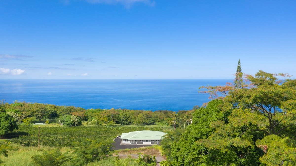 87-410 Kaohe Mauka Road Captain Cook, HI 96704 - Photo 7 of 29 a view of a lake with a city