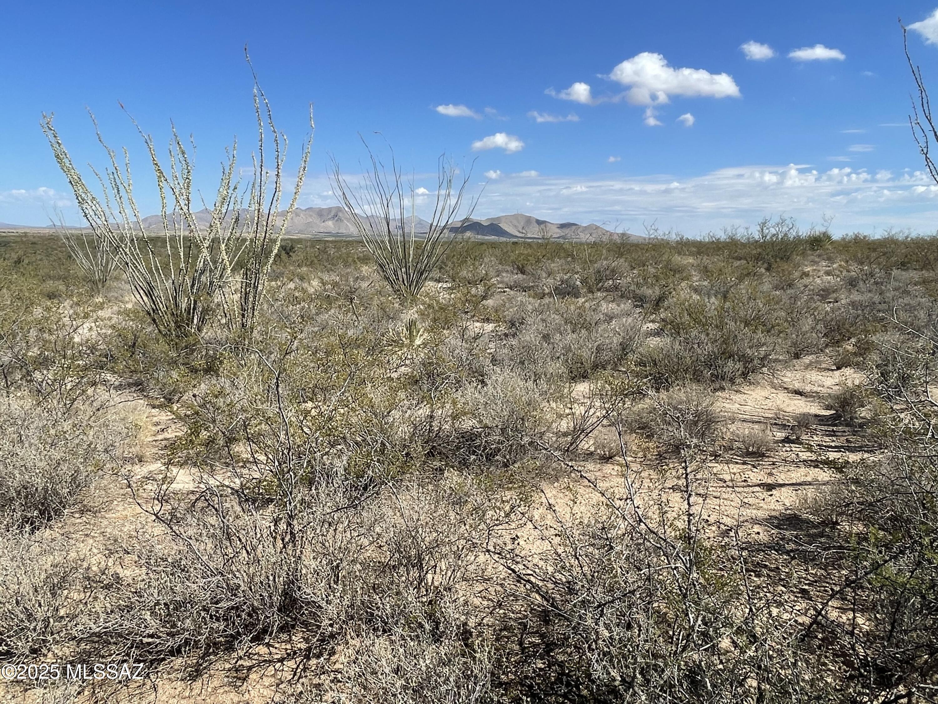 East Dragoon Valley Rd Street St. David, AZ 85630 - Photo 5 of 11 a view of a back yard of the house and an ocean view