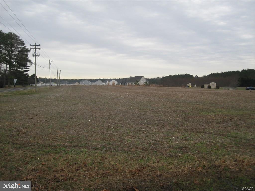 32 Zoar Road Georgetown, DE 19947 - Photo 1 of 1 Gallery Image 1