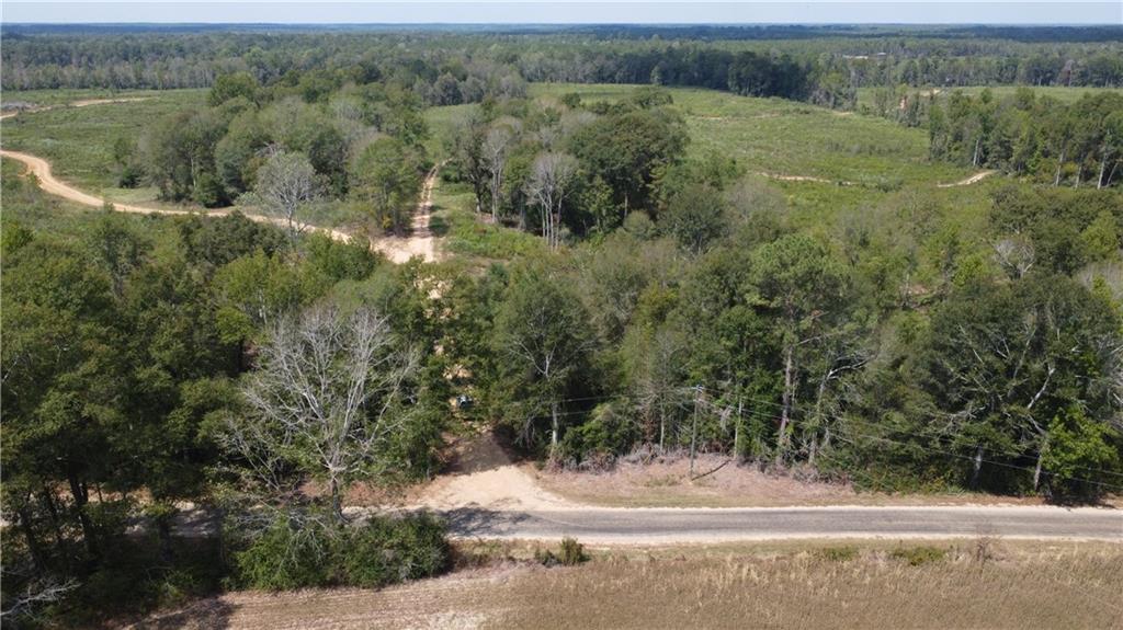 232-acres 232-acres Chess Bankston Road Mount Hermon, LA 70450 - Photo 1 of 9