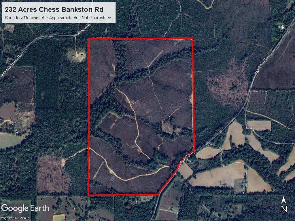 232-acres 232-acres Chess Bankston Road Mount Hermon, LA 70450 - Photo 2 of 9
