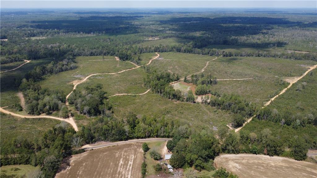 232-acres 232-acres Chess Bankston Road Mount Hermon, LA 70450 - Photo 3 of 9