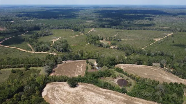 $880,440 | 232-acres 232-acres Chess Bankston Road, Mount Hermon, LA 70450