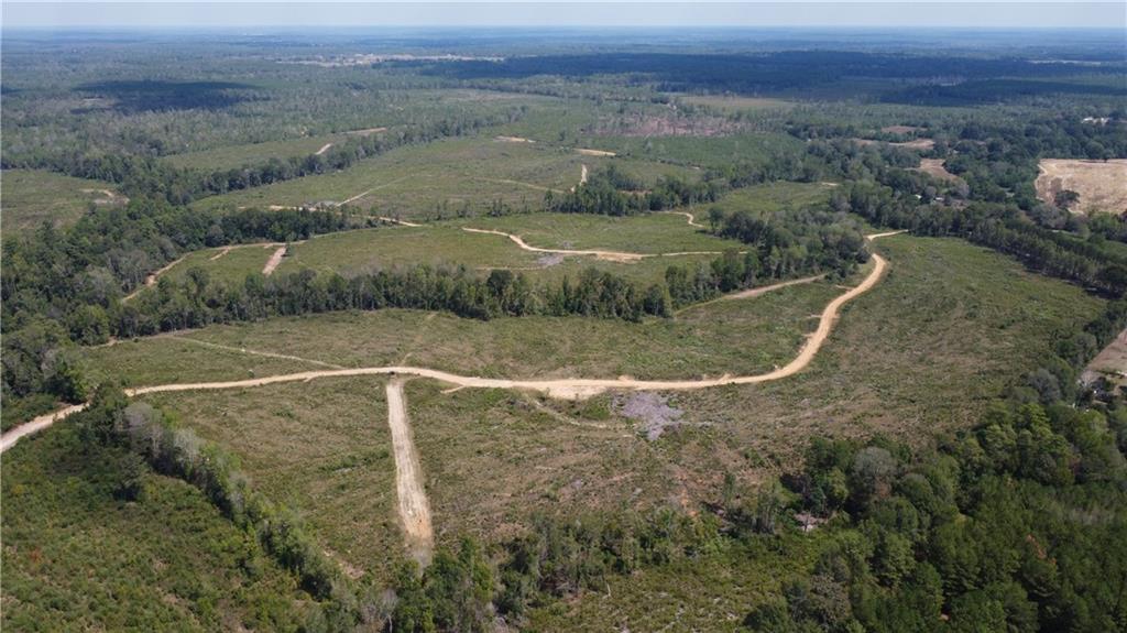 232-acres 232-acres Chess Bankston Road Mount Hermon, LA 70450 - Photo 5 of 9