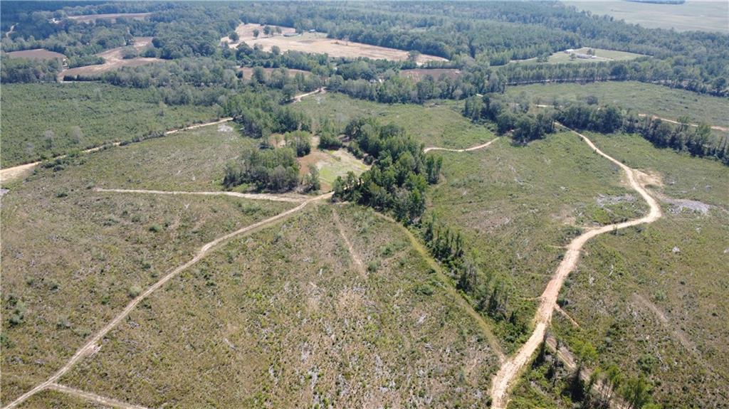 232-acres 232-acres Chess Bankston Road Mount Hermon, LA 70450 - Photo 6 of 9