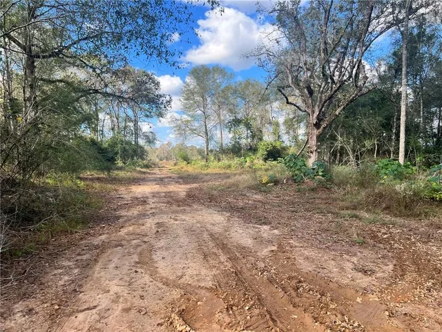 $880,440 | 232-acres 232-acres Chess Bankston Road, Mount Hermon, LA 70450