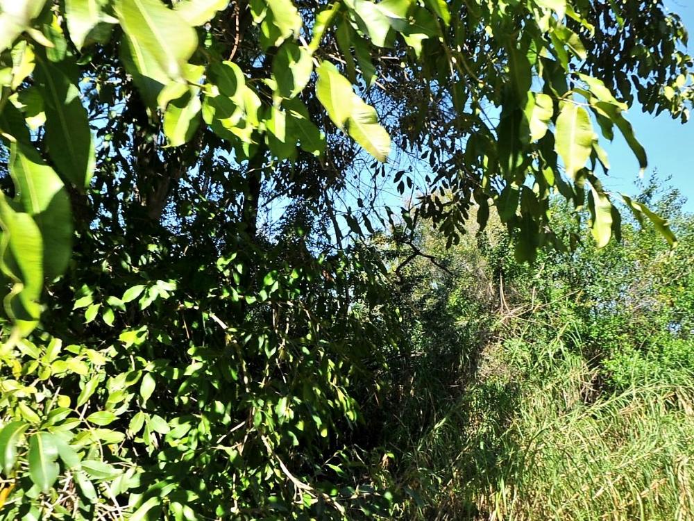 Tbd Oleander Avenue Fort Pierce, FL 34982 - Photo 8 of 9 13