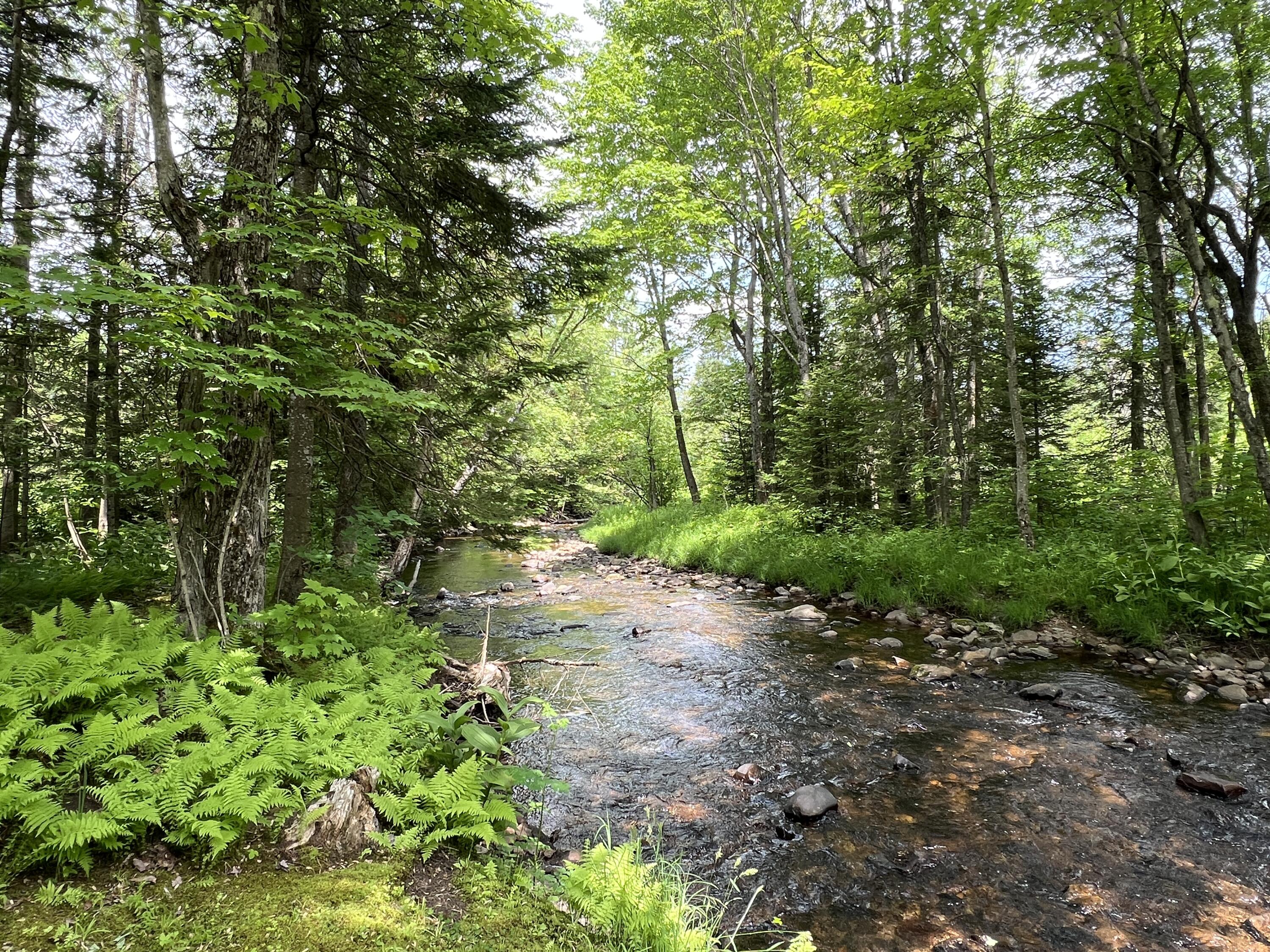 0 Bunker Hill Road Chateaugay, NY 12920 - Photo 22 of 42