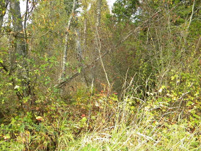 9500 Harvey Road Blaine, WA 98230 - Photo 2 of 6 Gallery Image 2