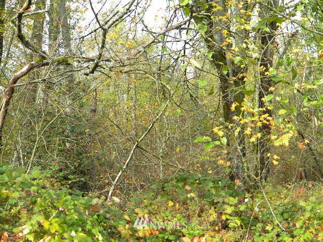 9500 Harvey Road Blaine, WA 98230 - Photo 3 of 6 Gallery Image 3