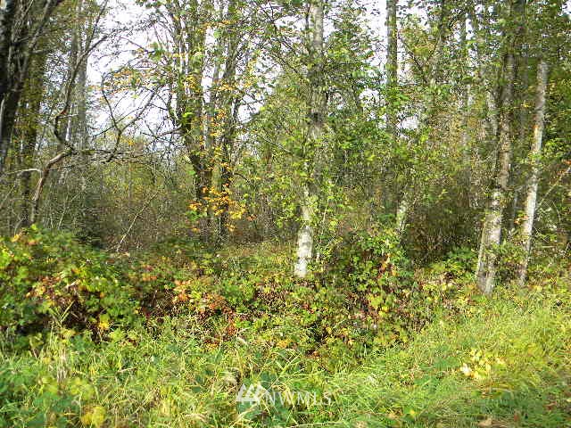 9500 Harvey Road Blaine, WA 98230 - Photo 4 of 6 Gallery Image 4