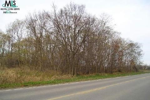 0 West General Squier Road Almont, MI 48003 - Photo 1 of 2 887394.JPG