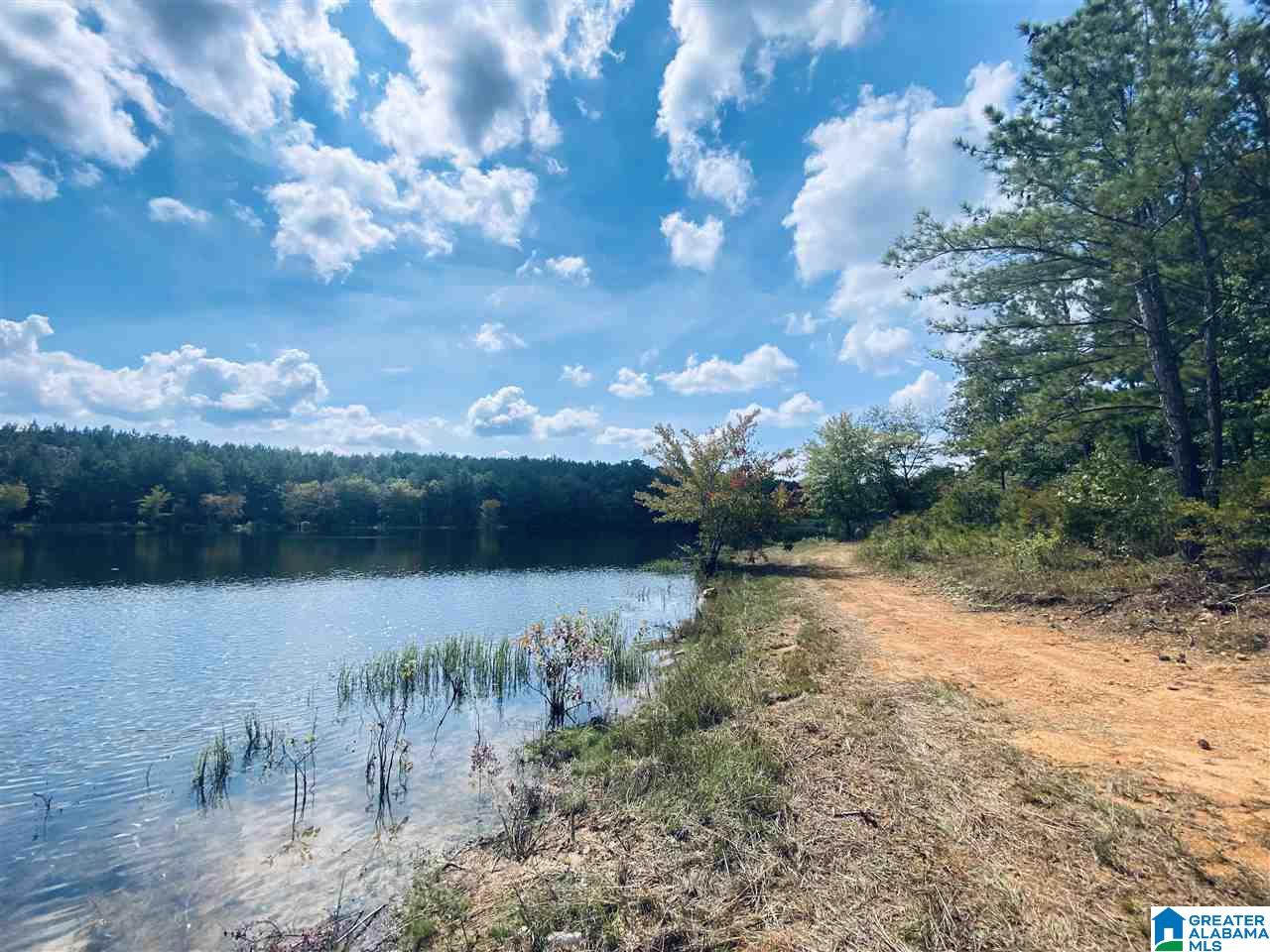 2560 Joe Lee Road, Unit 1 Talladega, AL 35160 - Photo 13 of 35