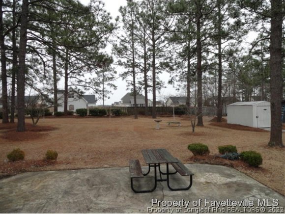 4667 Legion Road Hope Mills, NC 28348 - Photo 19 of 24 a view of backyard with outdoor space