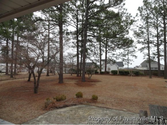 4667 Legion Road Hope Mills, NC 28348 - Photo 24 of 24 a view of outdoor space with lots of trees