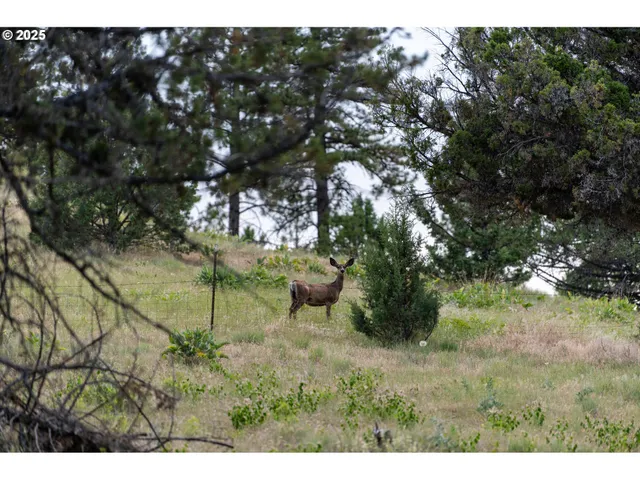 $1,499,000 | 61702 Middle Fork Lane, Long Creek, OR 97856