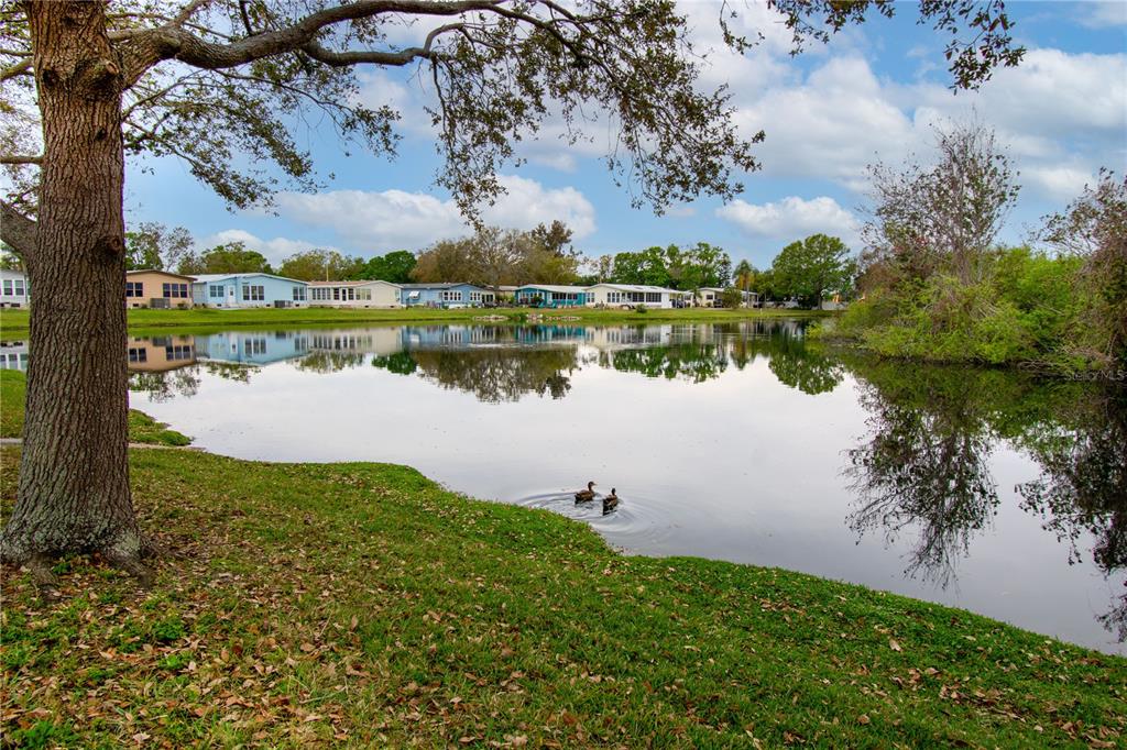 1001 Starkey Road, Unit 82 Largo, FL 33771 - Photo 44 of 47 Gallery Image 44