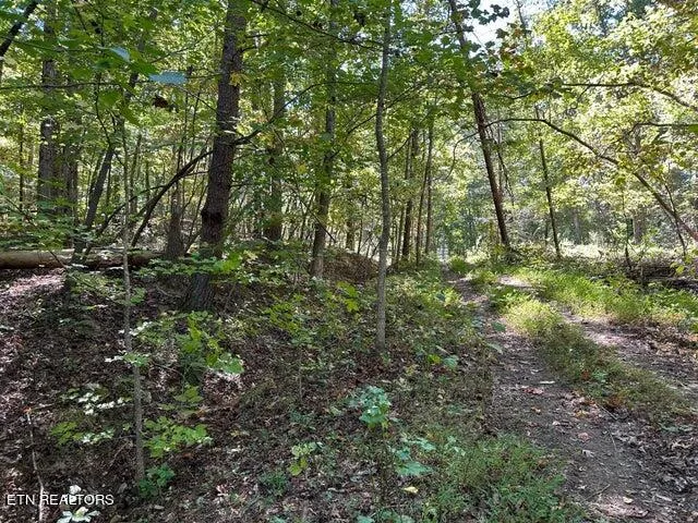 $20,000 | Lot 351 Diana Dr Spring, Spring City, TN 37381