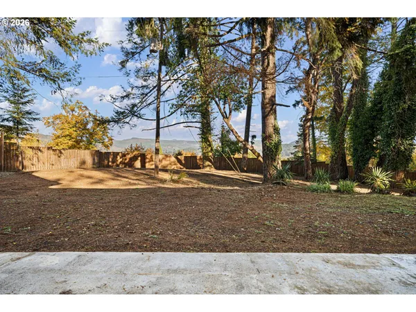 a view of a yard with a trees