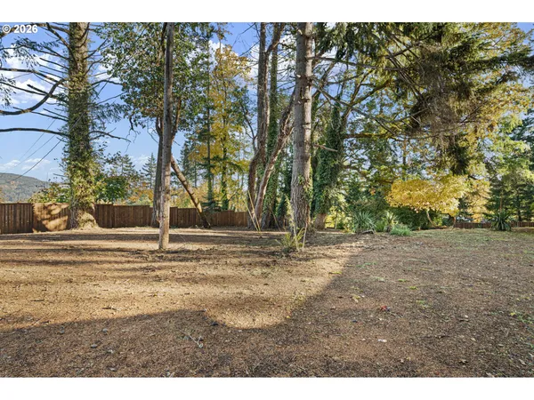 a view of a yard with large trees