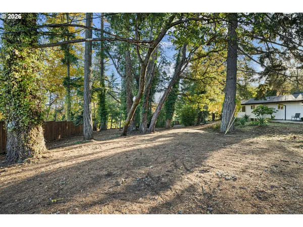 a view of backyard with green space