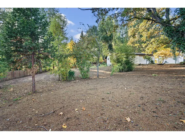 a view of a yard with a tree