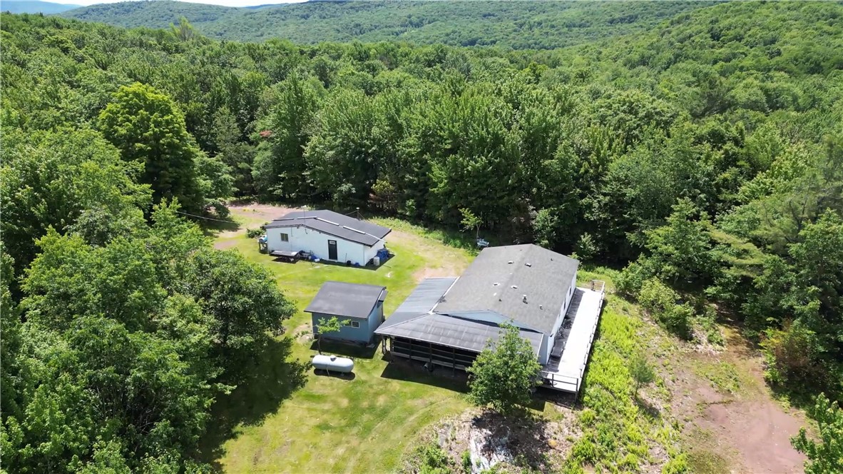 201 Sunrise Mountain Road Kortright, NY 13739 - Photo 6 of 49