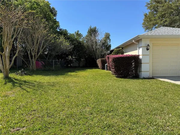 a view of a backyard