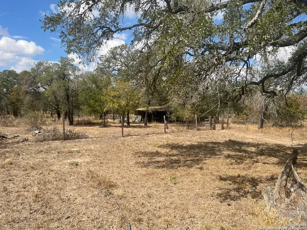 a view of outdoor space with trees
