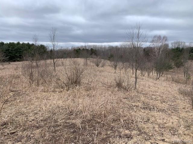 0 Pointer Road West Branch, MI 48661 - Photo 1 of 11