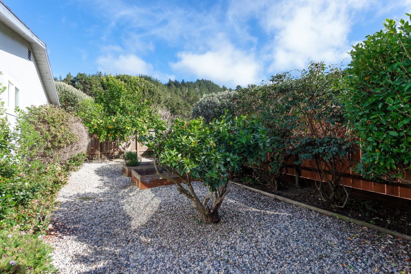 540 Ridgeway Drive Pacifica, CA 94044 - Photo 10 of 11 Gallery Image 10