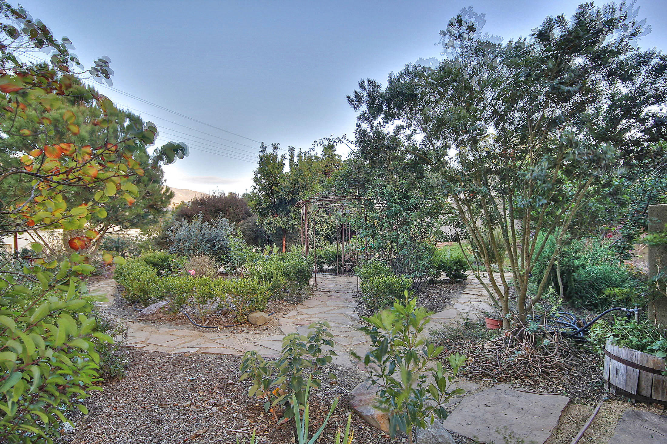 1836 Hillcrest Road Santa Barbara, CA 93103 - Photo 33 of 35 Garden