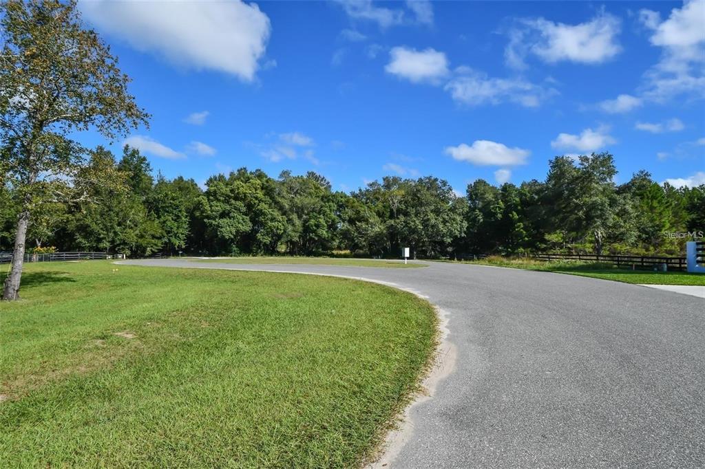 Tree Frog Lane Eustis, FL 32736 - Photo 16 of 19 Gallery Image 16