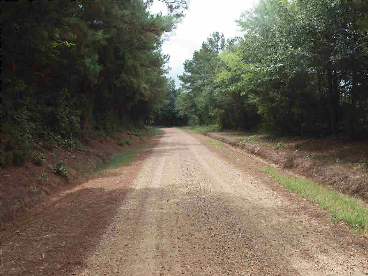 1 Douglas Road Goodman, MS 39079 - Photo 9 of 16 Photo 9