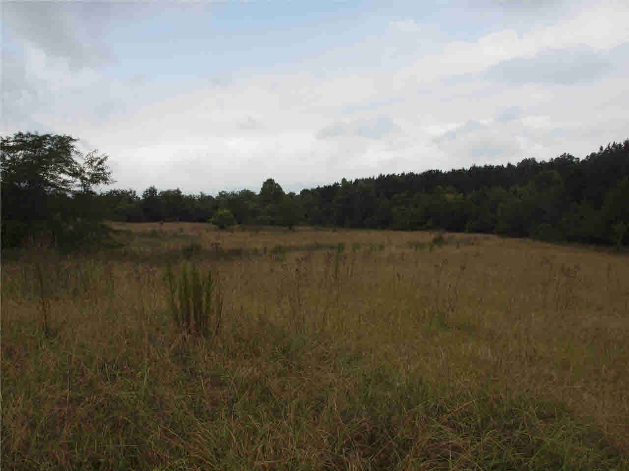 1 Douglas Road Goodman, MS 39079 - Photo 10 of 16 Photo 10