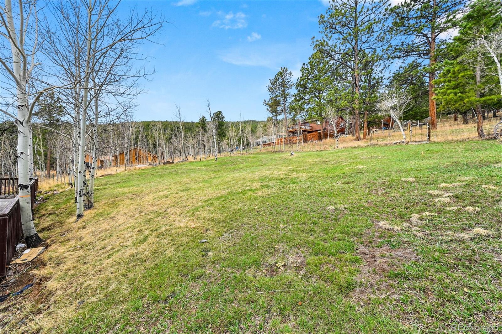 312 South Pine Drive Bailey, CO 80421 - Photo 27 of 32 a view of a park with large trees
