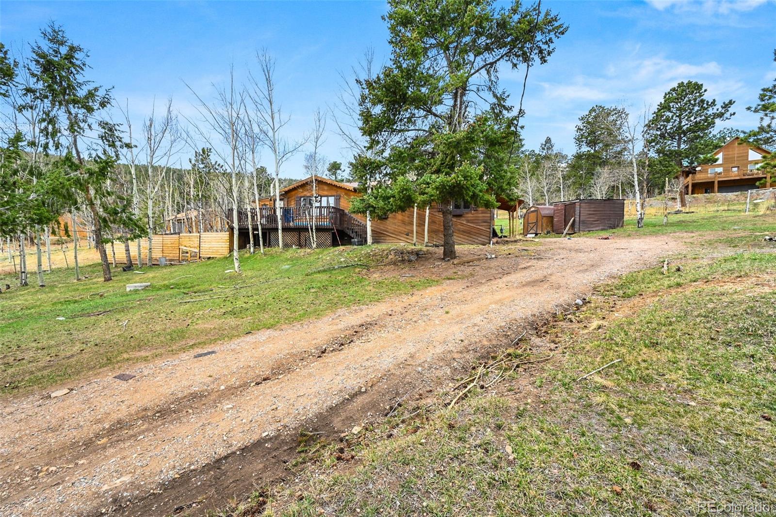 312 South Pine Drive Bailey, CO 80421 - Photo 3 of 32 a view of road with trees