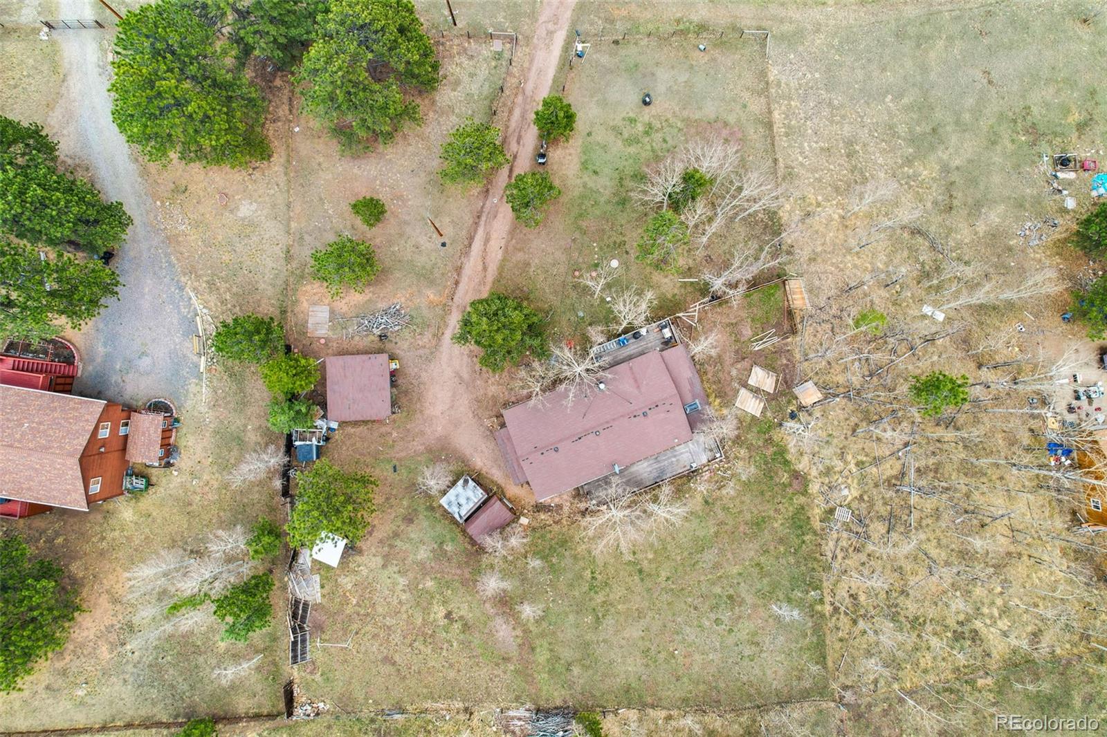 312 South Pine Drive Bailey, CO 80421 - Photo 31 of 32 an aerial view of a house with a yard and trees
