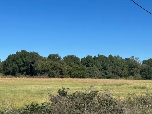 a view of a field with an ocean