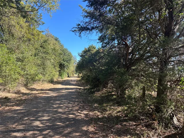 a view of a yard with a tree