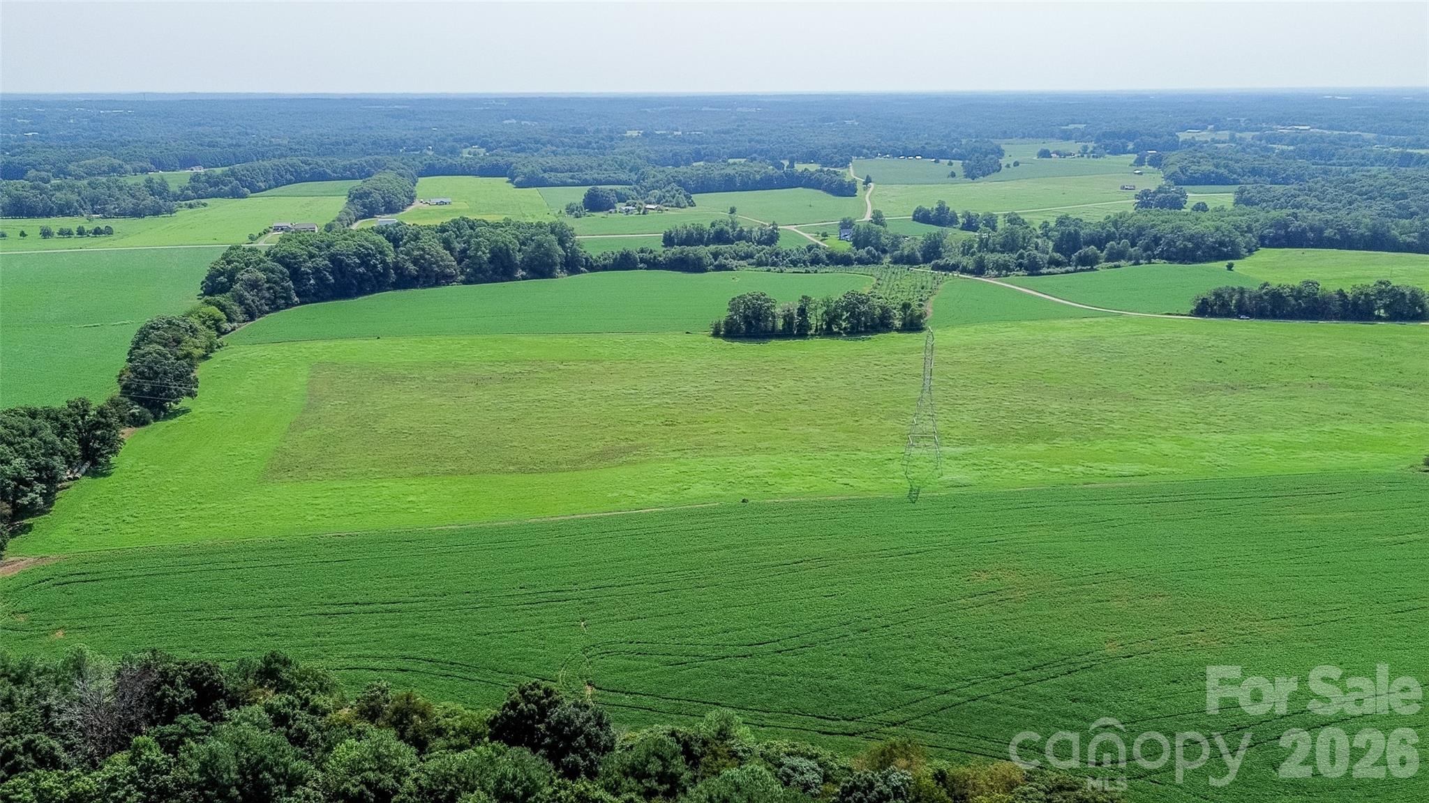 40-ac Amble Road Olin, NC 28660 - Photo 23 of 29 Gallery Image 23