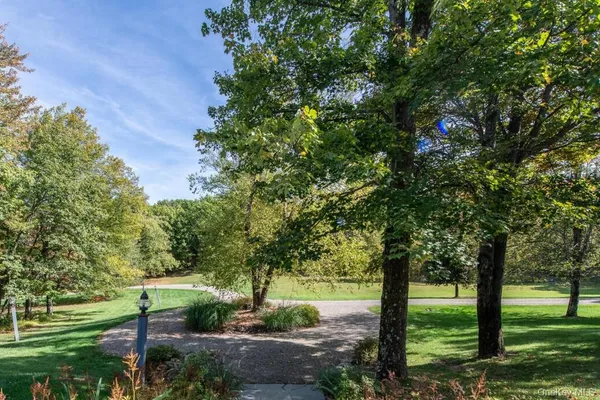 a view of yard with tree