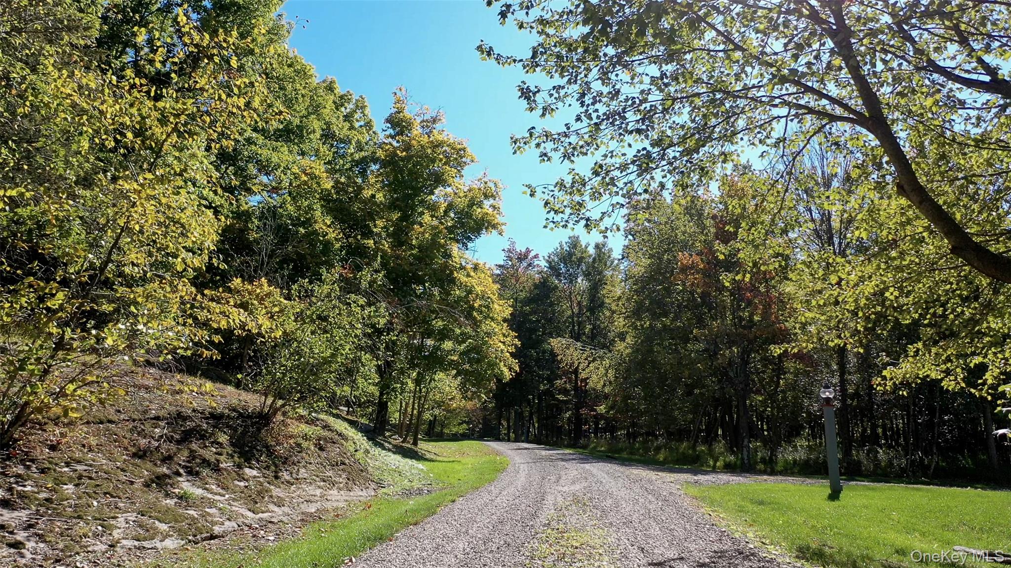 926 Turkey Hill Road Red Hook, NY 12571 - Photo 50 of 50 a view of a park with large trees