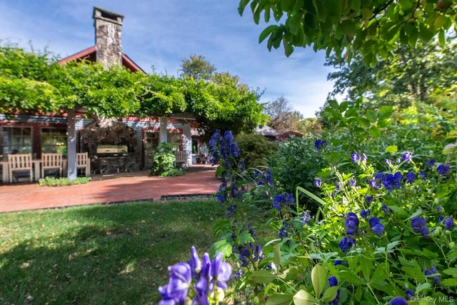 a view of a yard with plants