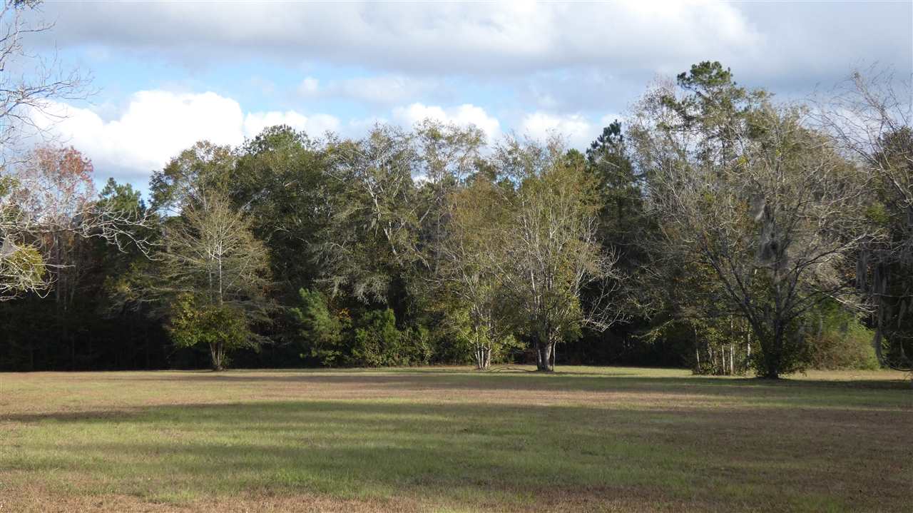 2263 Casa Bianca Road Monticello, FL 32344 - Photo 9 of 20 Gallery Image 9